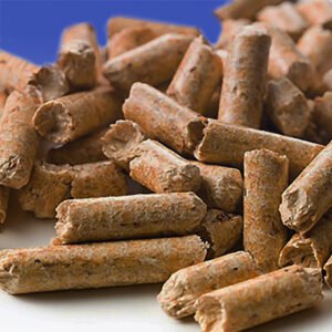 Biomass Wood Pellet